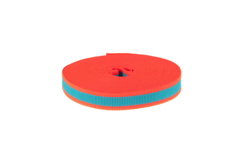 10M Roll Blue Ribbon with Fluorescent Coral Edging